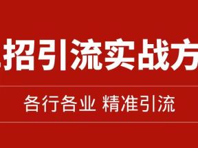 精准引流术：11招引流实战方法，让你私域流量加到爆（11节课完整版）