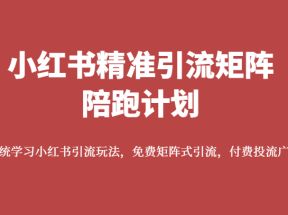 小红书精准引流矩阵陪跑计划，系统学习小红书引流玩法，免费矩阵式引流，付费投流广告