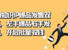 2023知识IP-爆品发售双阶班，左手爆品右手发售，开启批量收钱