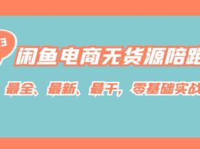 闲鱼电商无货源陪跑课，最全、最新、最干，零基础实战