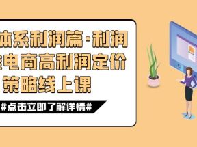 8大体系利润篇·利润定准电商高利润定价策略线上课（16节）