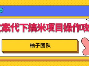 文案代下搞米项目操作方案，只要肯吃苦新手也能日入300+