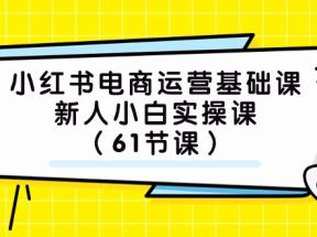 小红书电商运营基础课，新人小白实操课（61节课）