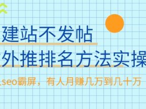 不建站不发帖做外推排名方法实操，持久seo霸屏，有人月赚几万到几十万