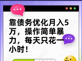 靠债务优化，月入5万，操作简单，多种变现方式，小白必入！