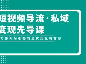 短视频导流·私域变现先导课，5天带你短视频流量实现私域变现