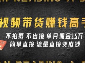 视频带货赚钱高手课程：不拍摄 不出镜 单月佣金3.5w 简单直接 流量直接变钱