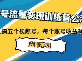 视频号流量变现训练营公测1.0：一个人搞五个视频号，每个账号收益30-50