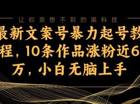 最新文案号暴力起号教程，10条作品涨粉近6万，小白无脑上手