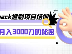 cashback返利项目培训：轻松月入3000刀的秘密（8节课）