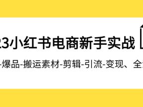 2023小红书电商新手实战课程，开店-爆品-搬运素材-剪辑-引流-变现、全流程