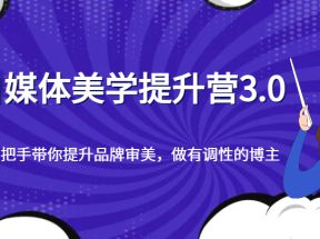 自媒体美学提升营3.0，手把手带你提升品牌审美，做有调性的博主