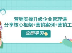 营销实操升级·企业管理课：分享核心框架+营销案例+营销工具（课程+文档）