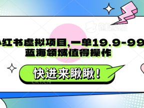 小红书虚拟项目，一单19.9-99，蓝海领域值得操作