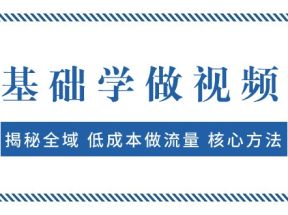 0基础学做视频号：揭秘全域 低成本做流量 核心方法 快速出爆款 轻松变现