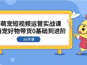 萌宠·短视频运营实战课：萌宠好物带货0基础到进阶（38节课）