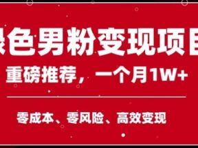 手机操作，月入1W以上副业领袖绿色男粉高客单价项目