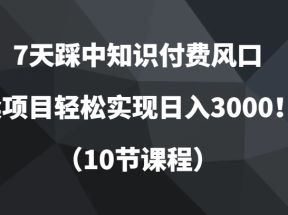 7天踩中知识付费风口，卖项目轻松实现日入3000！（10节课程）