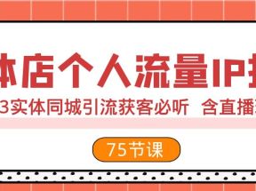 实体店个人流量IP打造 2023实体同城引流获客必听 含直播玩法（75节完整版）