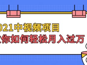 2021中视频项目，教你如何轻松月入过万，只讲核心，只讲实操，不讲废话