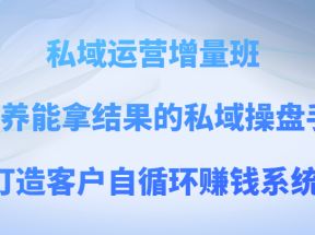 私域运营增量班 培养能拿结果的私域操盘手，打造客户自循环赚钱系统