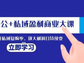 全域公+私域盈利商业大课，有效提升私域复购率，放大利润且持续变现