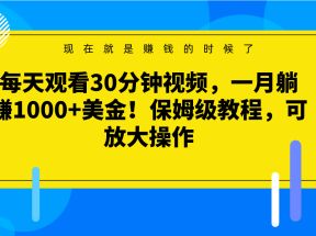 每天观看30分钟视频，一月躺赚1000+美金！保姆级教程，可放大操作