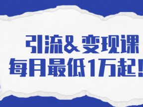 引流变现课：分享一整套流量方法以及各个渠道收入，每月最低1万起