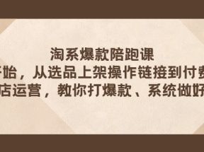 淘系爆款陪跑课 从选品上架操作链接到付费放大 全店运营 打爆款 系统做好店