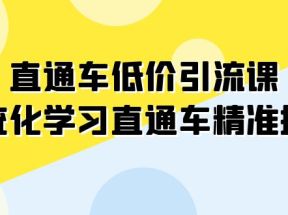 直通车-低价引流课，系统化学习直通车精准投放（14节课）