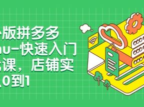 海外版拼多多Temu-快速入门实战课，店铺实战从0到1（12节课）