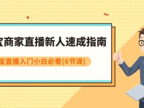 淘宝商家直播新人速成指南，淘宝直播入门小白必看（6节课）