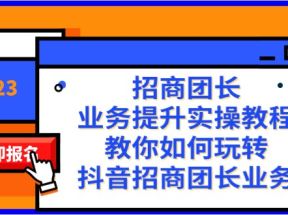 招商团长-业务提升实操教程，教你如何玩转抖音招商团长业务（38节课）