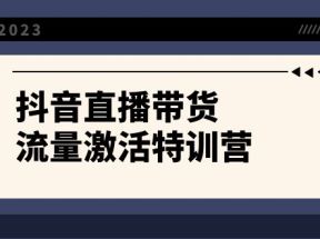 抖音直播带货-流量激活特训营，入行新手小白主播必学（21节课+资料）