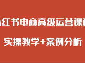 小红书电商高级运营课程 实操教学+案例分析