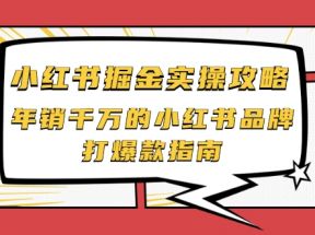 小红书掘金实操攻略，年销千万的小红书品牌打爆款指南