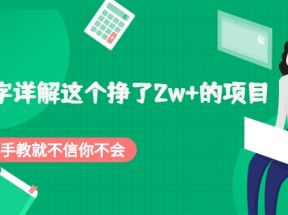 2000字详解这个挣了2w+的项目，手把手教就不信你不会【付费文章】