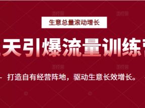 三天引爆流量训练营，打造自有经营阵地，驱动生意长效增长