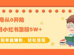 新账号从0开始3个月小红书涨粉5W+实现单篇爆粉，轻松变现（干货）【付费文章】