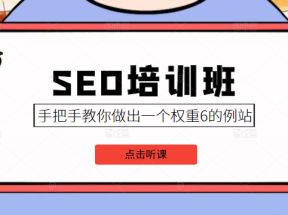 SEO培训班课程，手把手教你做出一个权重6的例站，价值8000元