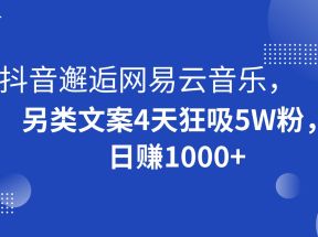 抖音邂逅网易云音乐，另类文案4天狂吸5W粉，日赚1000+