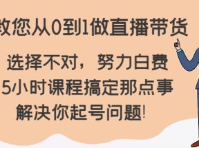 教您从0到1做直播带货，选择不对，努力白费，5小时课程搞定那点事，解决你起号问题！