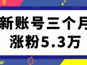 小红书新账号从零起步，通过内容优化，关键词设置，薯条投放，三个月涨粉5.3万