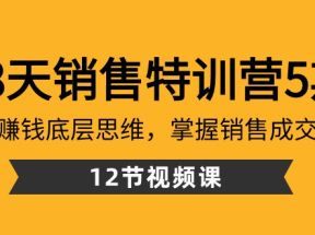 28天销售特训营5期：了解赚钱底层思维，掌握销售成交密码（12节课）