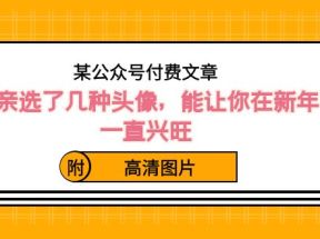 某公众号付费文章：我亲选了几种头像，能让你在新年一直兴旺（附高清图片）