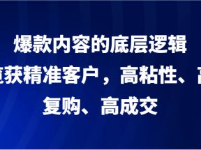 爆款内容的底层逻辑，揽获精准客户，高粘性、高复购、高成交