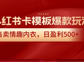 小红书卡模板爆款玩法，售卖情趣内衣，日盈利500+