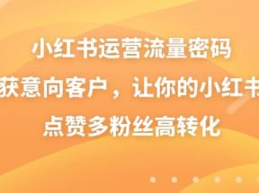 小红书运营流量密码，揽获意向客户，让你的小红书高点赞多粉丝高转化