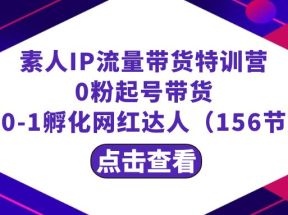 繁星·计划素人IP流量带货特训营：0粉起号带货 从0-1孵化网红达人（156节）