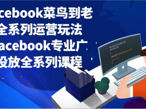 Facebook菜鸟到老鸟全系列运营玩法+Facebook专业广告投放全系列课程